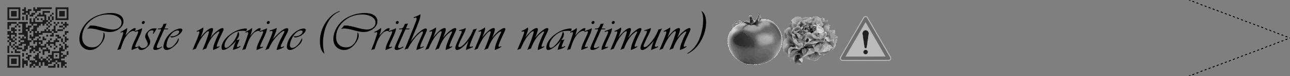 Étiquette de : Crithmum maritimum - format b - style noire57viv avec qrcode et comestibilité simplifiée