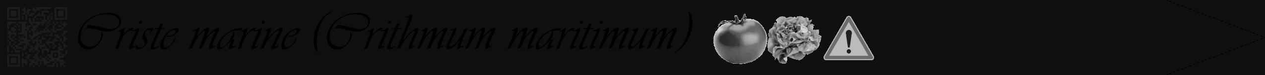 Étiquette de : Crithmum maritimum - format b - style noire7viv avec qrcode et comestibilité simplifiée