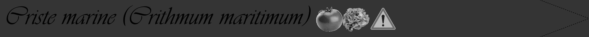 Étiquette de : Crithmum maritimum - format b - style noire46viv avec comestibilité simplifiée