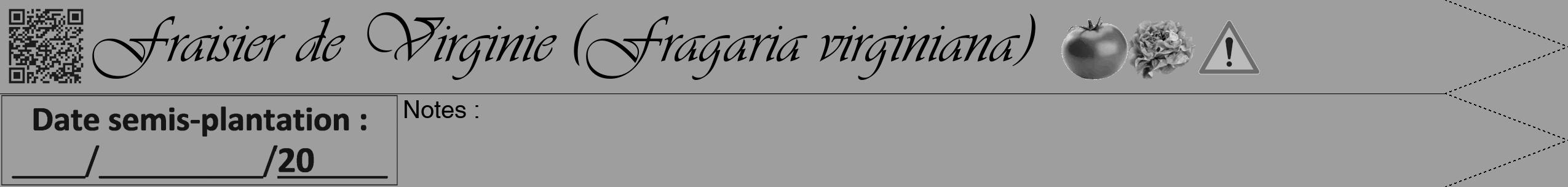 Étiquette de : Fragaria virginiana - format b - style noire23viv avec qrcode et comestibilité simplifiée