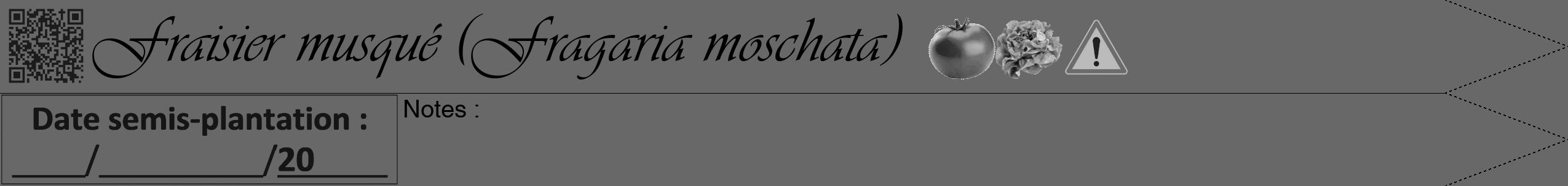 Étiquette de : Fragaria moschata - format b - style noire6viv avec qrcode et comestibilité simplifiée