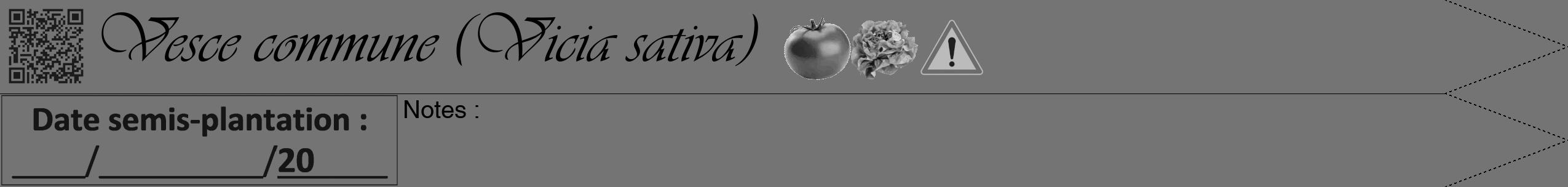 Étiquette de : Vicia sativa - format b - style noire26viv avec qrcode et comestibilité simplifiée