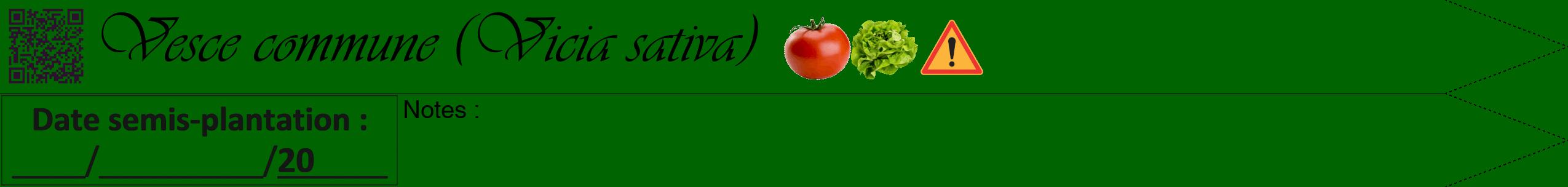 Étiquette de : Vicia sativa - format b - style noire8viv avec qrcode et comestibilité simplifiée
