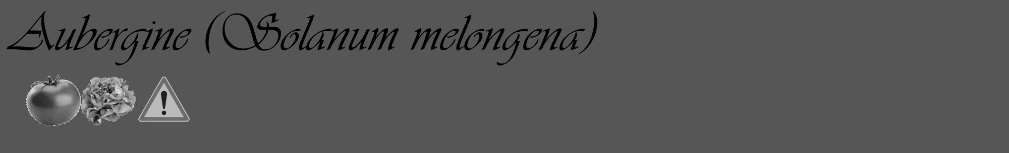 Étiquette de : Solanum melongena - format c - style noire45_basique_basiqueviv avec comestibilité simplifiée