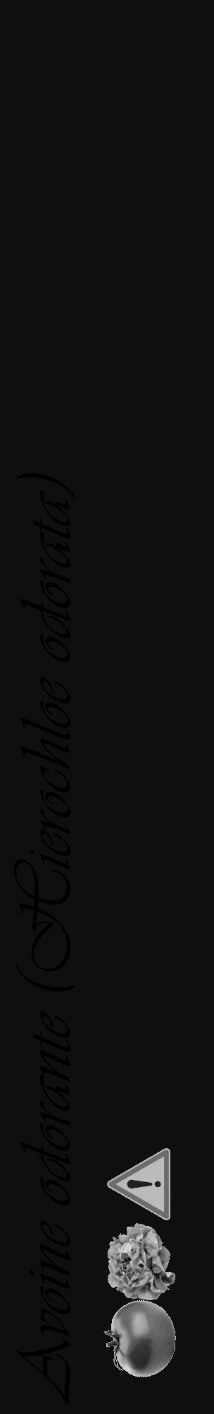 Étiquette de : Hierochloe odorata - format c - style noire7_basique_basiqueviv avec comestibilité simplifiée - position verticale