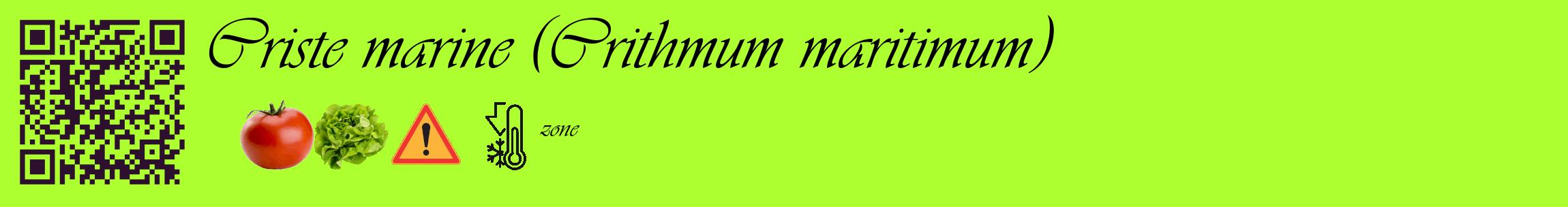 Étiquette de : Crithmum maritimum - format c - style noire17_basique_basiqueviv avec qrcode et comestibilité simplifiée