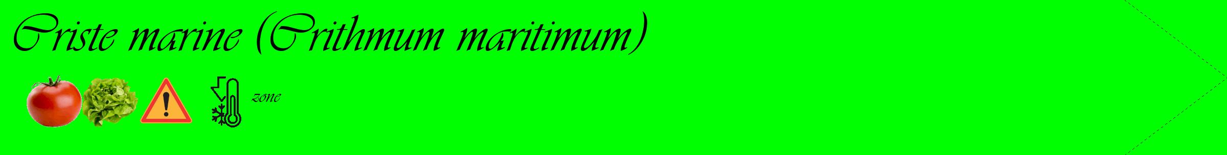 Étiquette de : Crithmum maritimum - format c - style noire16_simple_simpleviv avec comestibilité simplifiée