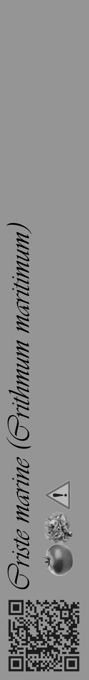 Étiquette de : Crithmum maritimum - format c - style noire16_basique_basiqueviv avec qrcode et comestibilité simplifiée - position verticale