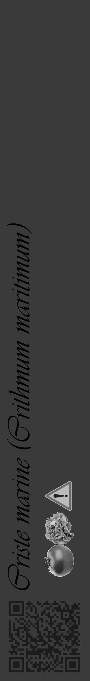 Étiquette de : Crithmum maritimum - format c - style noire8_basique_basiqueviv avec qrcode et comestibilité simplifiée - position verticale