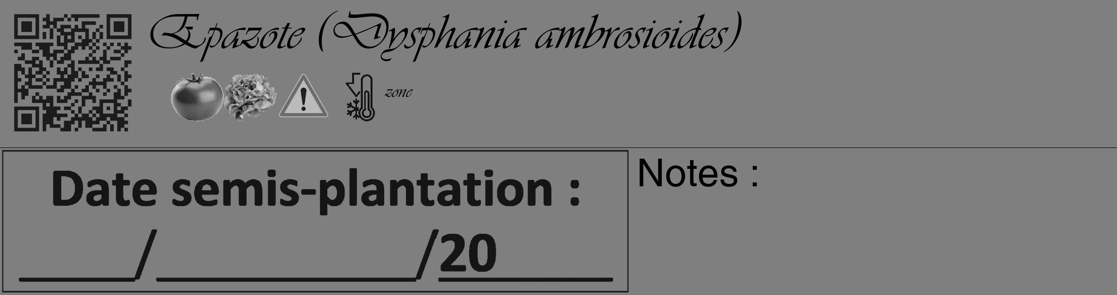 Étiquette de : Dysphania ambrosioides - format c - style noire31_basique_basiqueviv avec qrcode et comestibilité simplifiée