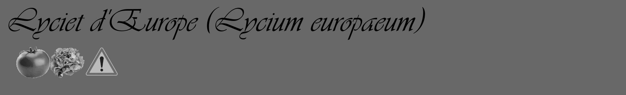 Étiquette de : Lycium europaeum - format c - style noire6_basique_basiqueviv avec comestibilité simplifiée