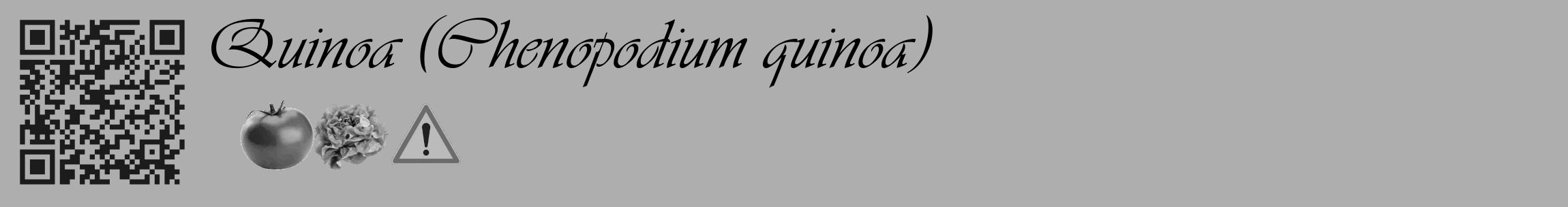 Étiquette de : Chenopodium quinoa - format c - style noire53_basique_basiqueviv avec qrcode et comestibilité simplifiée