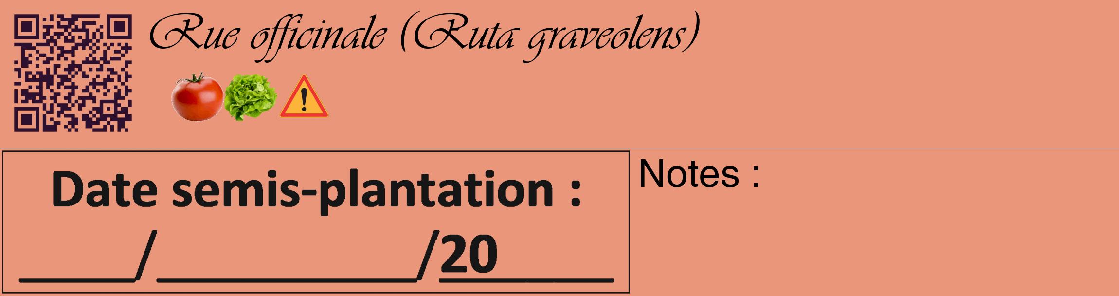 Étiquette de : Ruta graveolens - format c - style noire37_basique_basiqueviv avec qrcode et comestibilité simplifiée