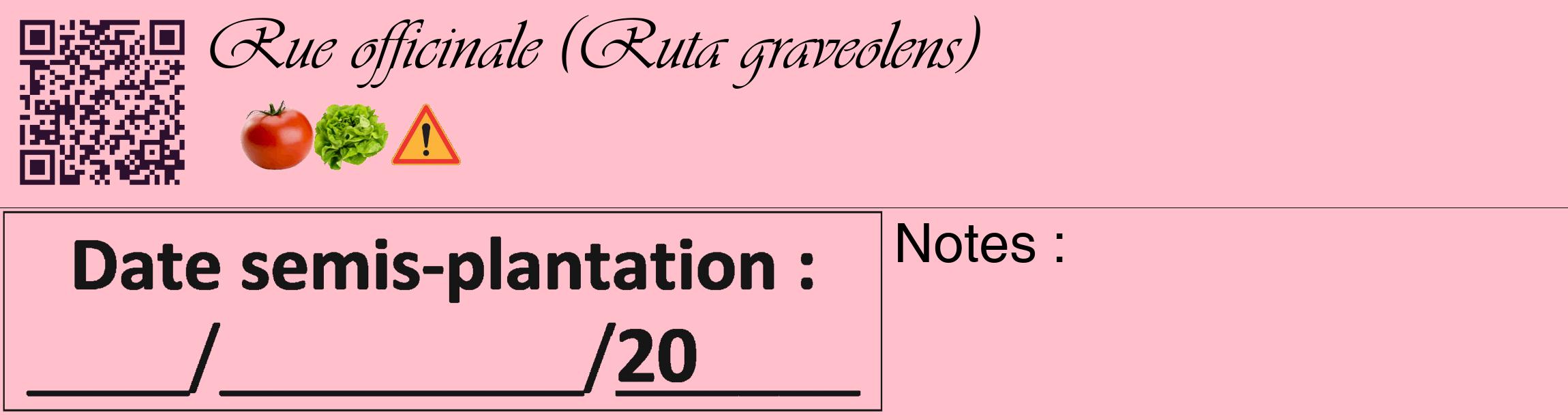 Étiquette de : Ruta graveolens - format c - style noire40_basique_basiqueviv avec qrcode et comestibilité simplifiée