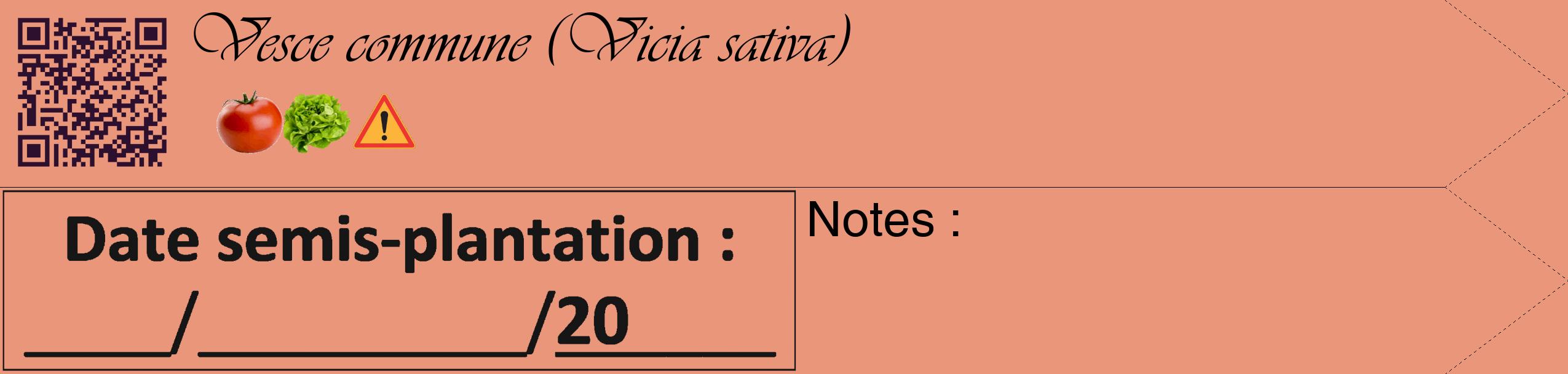 Étiquette de : Vicia sativa - format c - style noire37_simple_simpleviv avec qrcode et comestibilité simplifiée