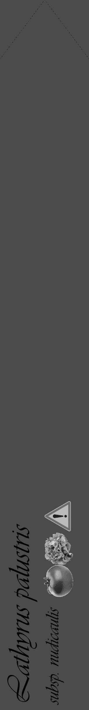 Étiquette de : Lathyrus palustris subsp. nudicaulis - format c - style noire9_simple_simpleviv avec comestibilité simplifiée - position verticale