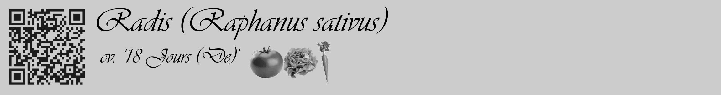 Étiquette de : Raphanus sativus cv. '18 Jours (De)' - format c - style noire0_basique_basiqueviv avec qrcode et comestibilité simplifiée