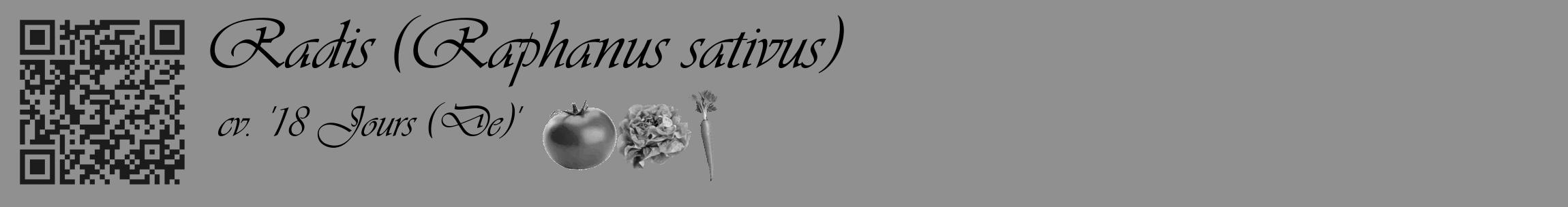 Étiquette de : Raphanus sativus cv. '18 Jours (De)' - format c - style noire4_basique_basiqueviv avec qrcode et comestibilité simplifiée