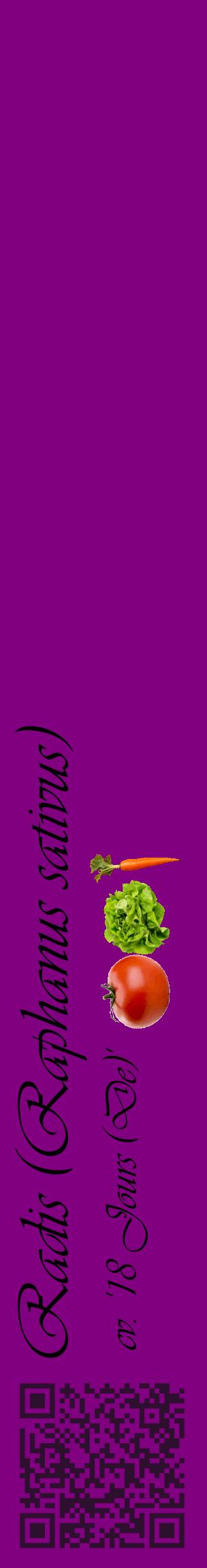 Étiquette de : Raphanus sativus cv. '18 Jours (De)' - format c - style noire46_basiqueviv avec qrcode et comestibilité simplifiée