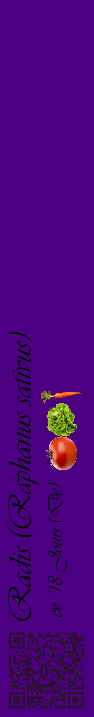Étiquette de : Raphanus sativus cv. '18 Jours (De)' - format c - style noire47_basiqueviv avec qrcode et comestibilité simplifiée
