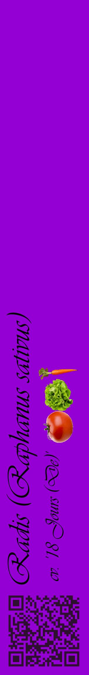 Étiquette de : Raphanus sativus cv. '18 Jours (De)' - format c - style noire48_basiqueviv avec qrcode et comestibilité simplifiée