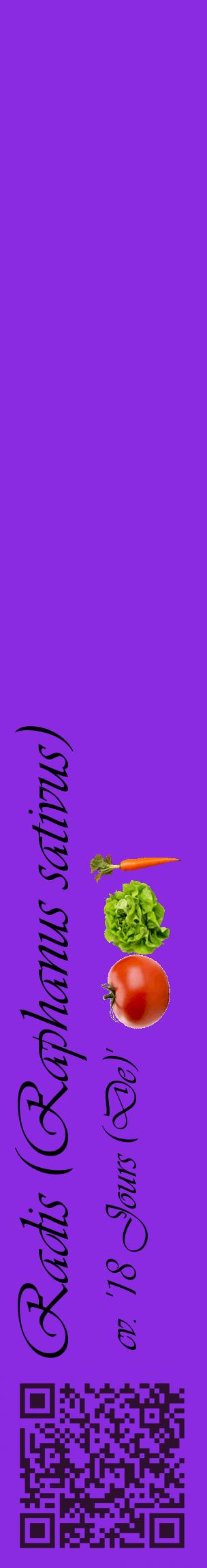 Étiquette de : Raphanus sativus cv. '18 Jours (De)' - format c - style noire49_basiqueviv avec qrcode et comestibilité simplifiée