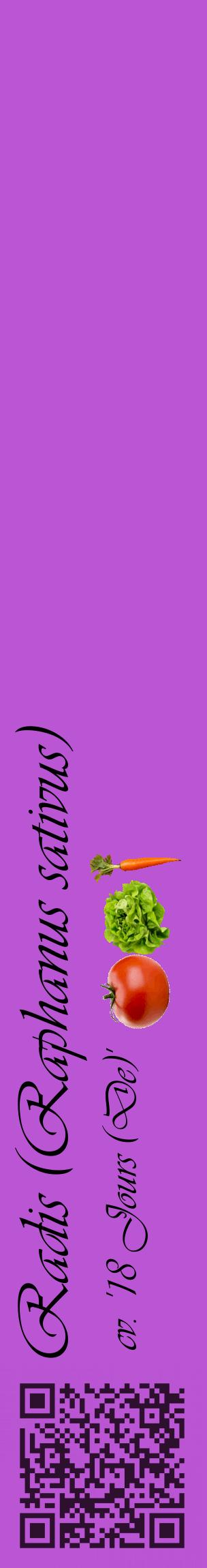 Étiquette de : Raphanus sativus cv. '18 Jours (De)' - format c - style noire50_basiqueviv avec qrcode et comestibilité simplifiée