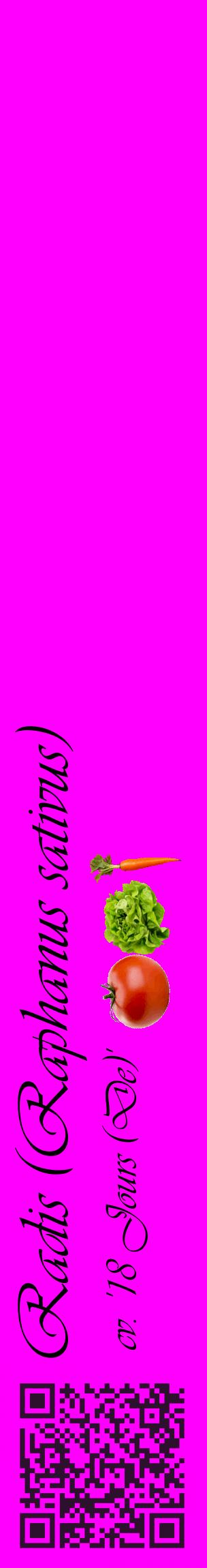 Étiquette de : Raphanus sativus cv. '18 Jours (De)' - format c - style noire51_basiqueviv avec qrcode et comestibilité simplifiée