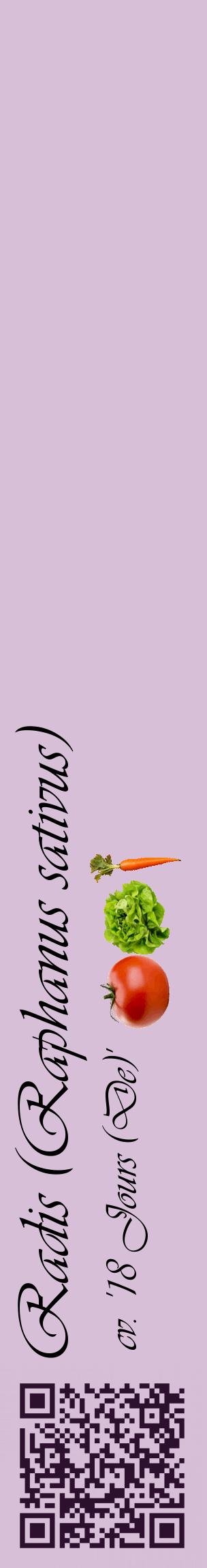 Étiquette de : Raphanus sativus cv. '18 Jours (De)' - format c - style noire54_basiqueviv avec qrcode et comestibilité simplifiée