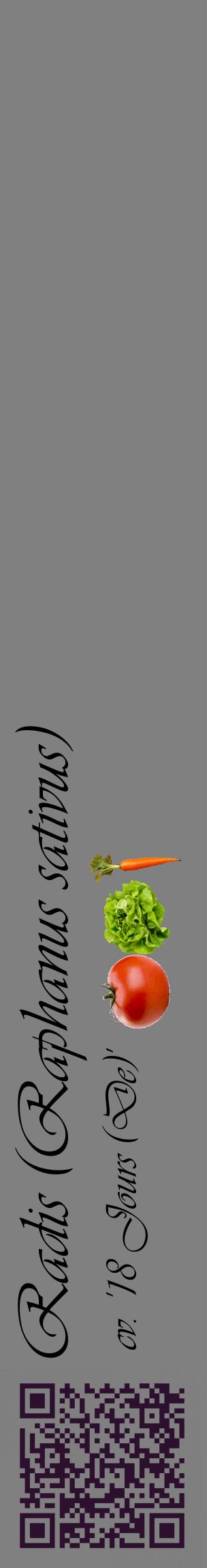Étiquette de : Raphanus sativus cv. '18 Jours (De)' - format c - style noire57_basiqueviv avec qrcode et comestibilité simplifiée