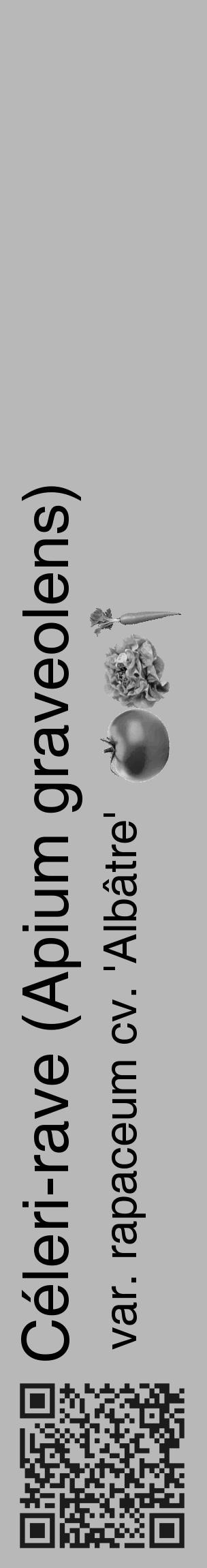 Étiquette de : Apium graveolens var. rapaceum cv. 'Albâtre' - format c - style noire39_basique_basiquehel avec qrcode et comestibilité simplifiée - position verticale