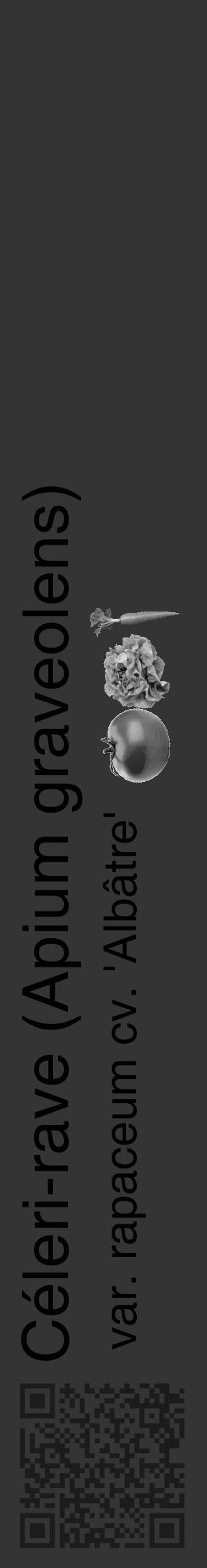 Étiquette de : Apium graveolens var. rapaceum cv. 'Albâtre' - format c - style noire46_basique_basiquehel avec qrcode et comestibilité simplifiée - position verticale