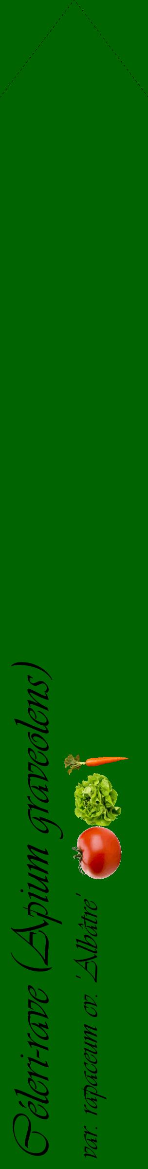 Étiquette de : Apium graveolens var. rapaceum cv. 'Albâtre' - format c - style noire8_simpleviv avec comestibilité simplifiée