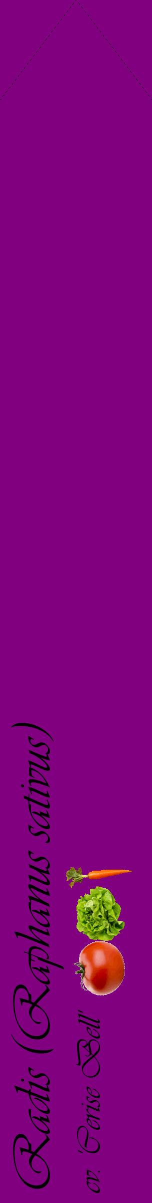 Étiquette de : Raphanus sativus cv. 'Cerise Bell' - format c - style noire46_simpleviv avec comestibilité simplifiée