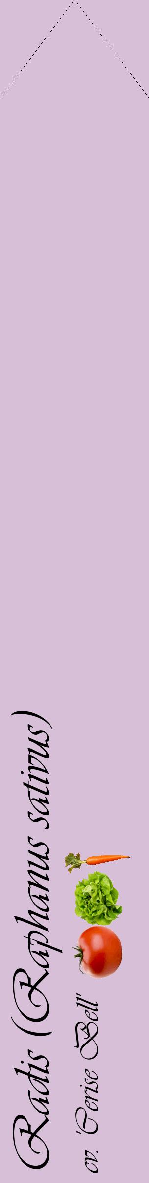Étiquette de : Raphanus sativus cv. 'Cerise Bell' - format c - style noire54_simpleviv avec comestibilité simplifiée