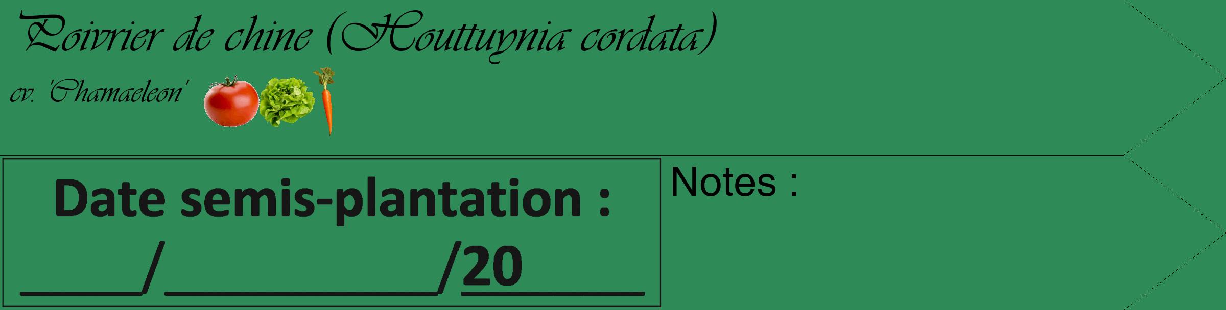 Étiquette de : Houttuynia cordata cv. 'Chamaeleon' - format c - style noire11_simple_simpleviv avec comestibilité simplifiée