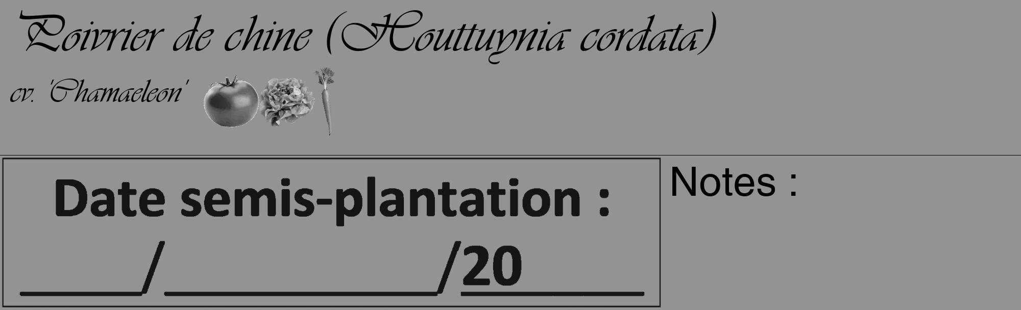 Étiquette de : Houttuynia cordata cv. 'Chamaeleon' - format c - style noire44_basique_basiqueviv avec comestibilité simplifiée