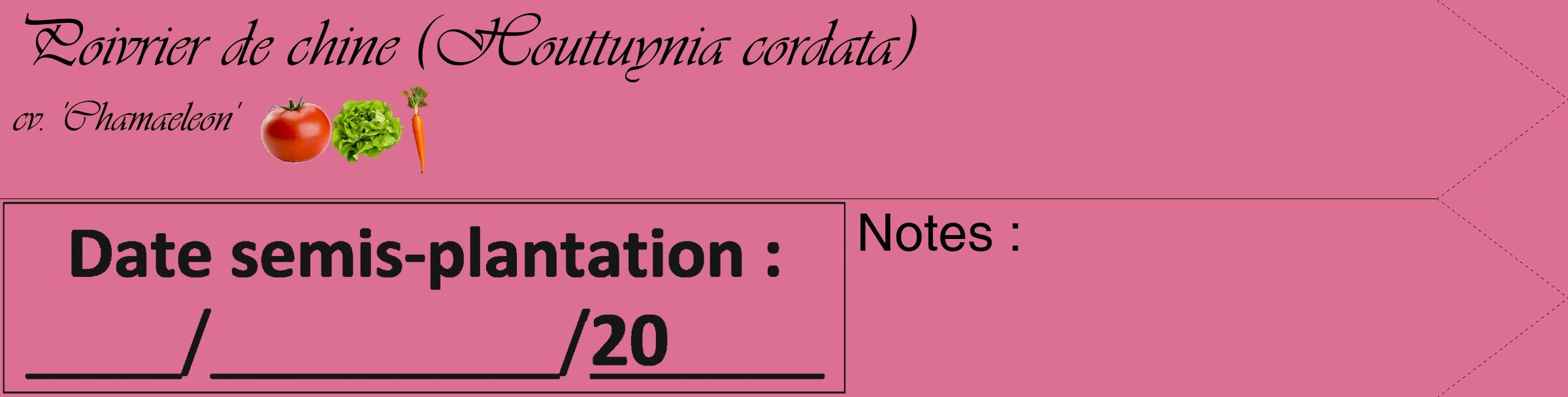 Étiquette de : Houttuynia cordata cv. 'Chamaeleon' - format c - style noire44_simple_simpleviv avec comestibilité simplifiée