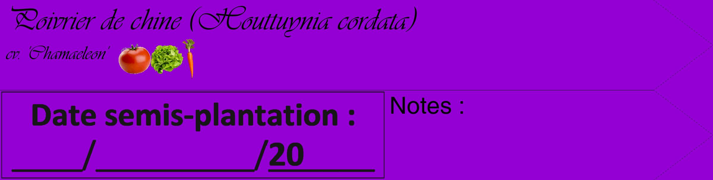 Étiquette de : Houttuynia cordata cv. 'Chamaeleon' - format c - style noire48_simple_simpleviv avec comestibilité simplifiée