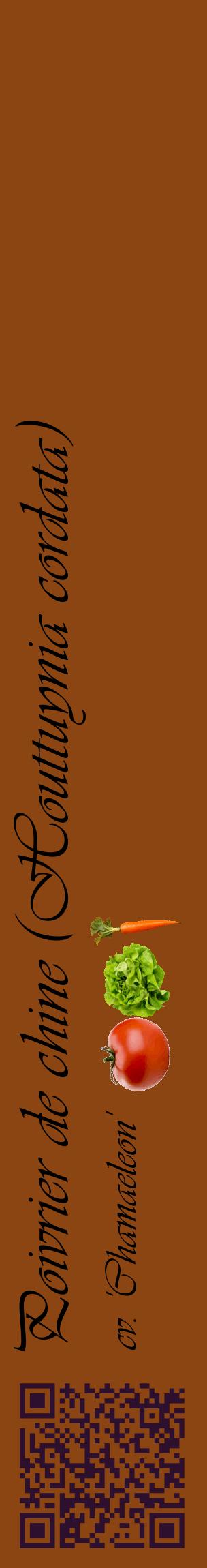 Étiquette de : Houttuynia cordata cv. 'Chamaeleon' - format c - style noire30_basiqueviv avec qrcode et comestibilité simplifiée