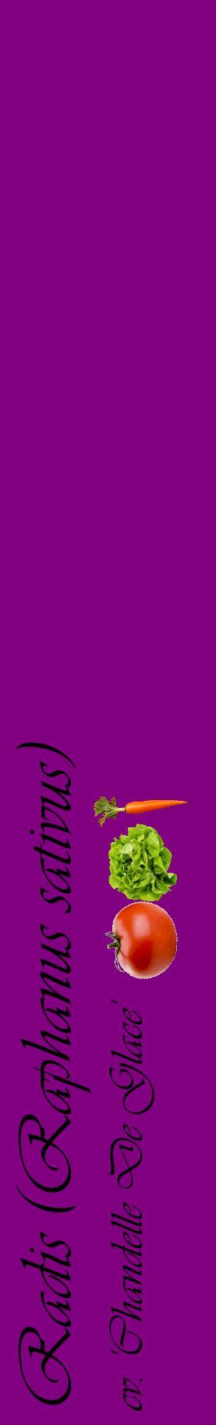 Étiquette de : Raphanus sativus cv. 'Chandelle De Glace' - format c - style noire46_basiqueviv avec comestibilité simplifiée