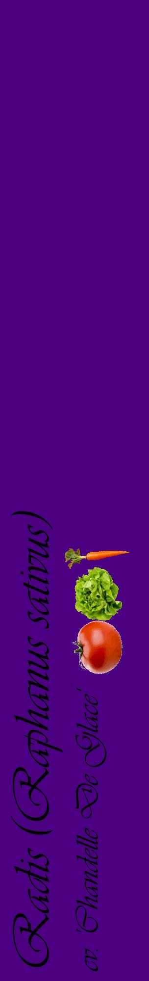 Étiquette de : Raphanus sativus cv. 'Chandelle De Glace' - format c - style noire47_basiqueviv avec comestibilité simplifiée