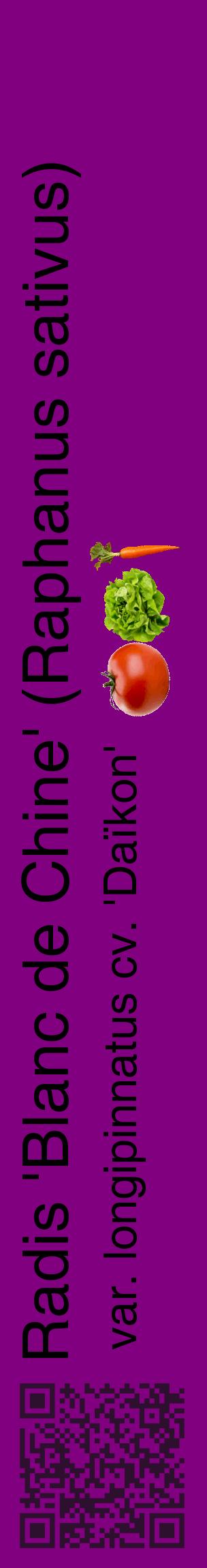 Étiquette de : Raphanus sativus var. longipinnatus cv. 'Daïkon' - format c - style noire46_basiquehel avec qrcode et comestibilité simplifiée