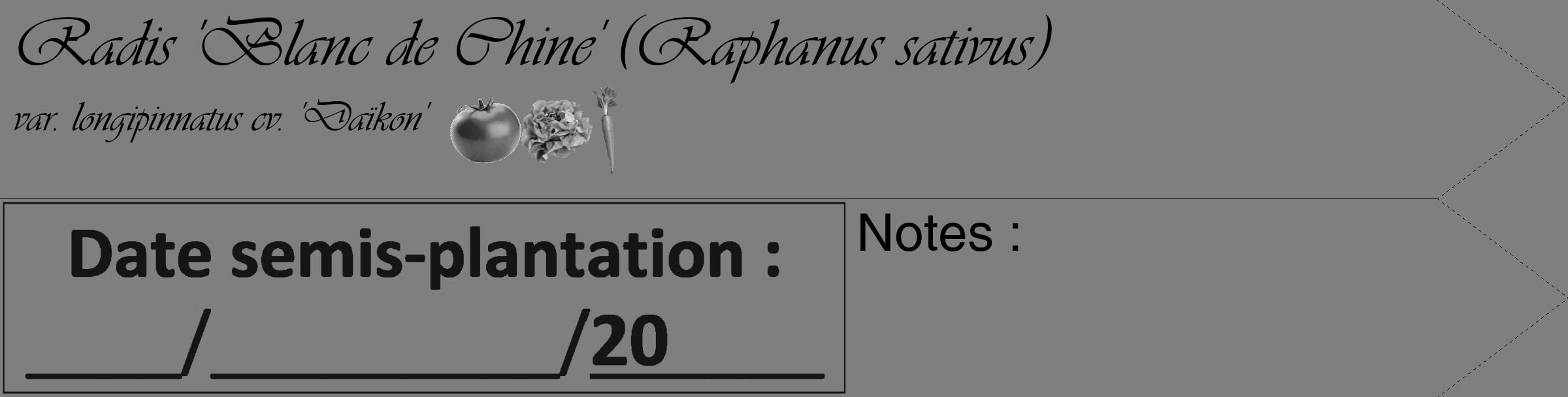 Étiquette de : Raphanus sativus var. longipinnatus cv. 'Daïkon' - format c - style noire31_simple_simpleviv avec comestibilité simplifiée