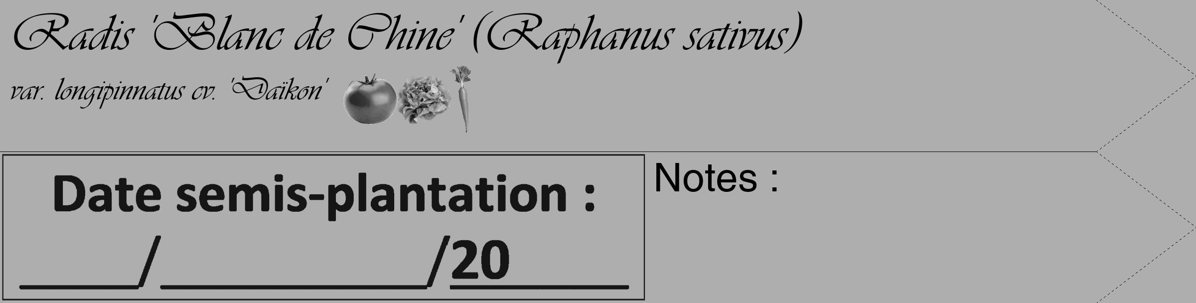 Étiquette de : Raphanus sativus var. longipinnatus cv. 'Daïkon' - format c - style noire53_simple_simpleviv avec comestibilité simplifiée