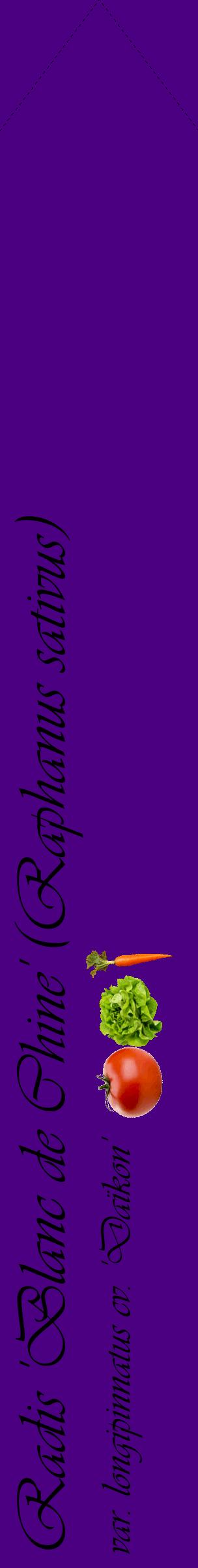 Étiquette de : Raphanus sativus var. longipinnatus cv. 'Daïkon' - format c - style noire47_simpleviv avec comestibilité simplifiée