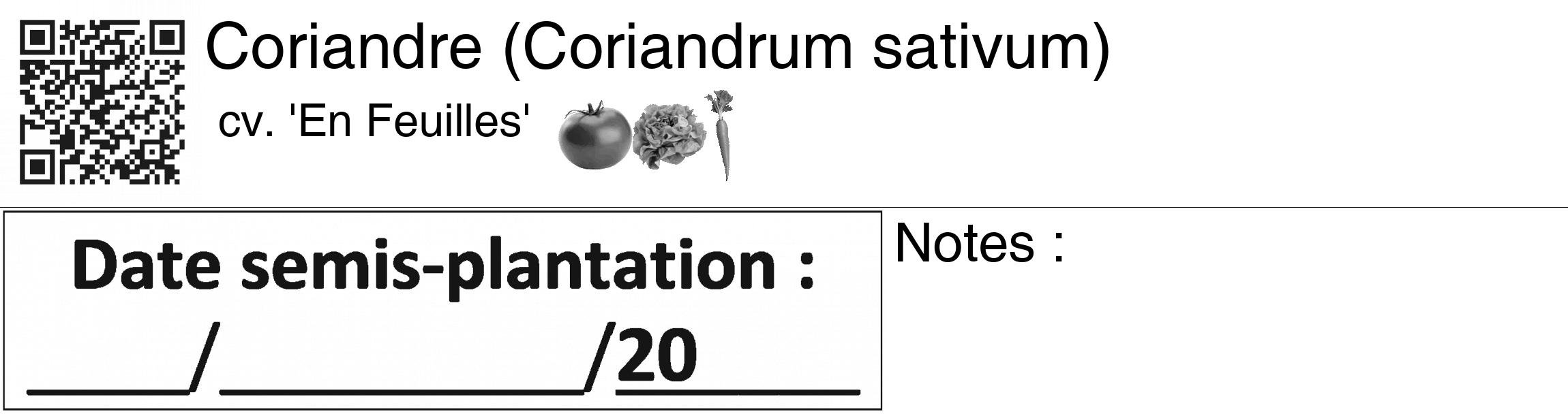 Étiquette de : Coriandrum sativum cv. 'En Feuilles' - format c - style noire60_basiquegrrvhel avec qrcode et comestibilité simplifiée