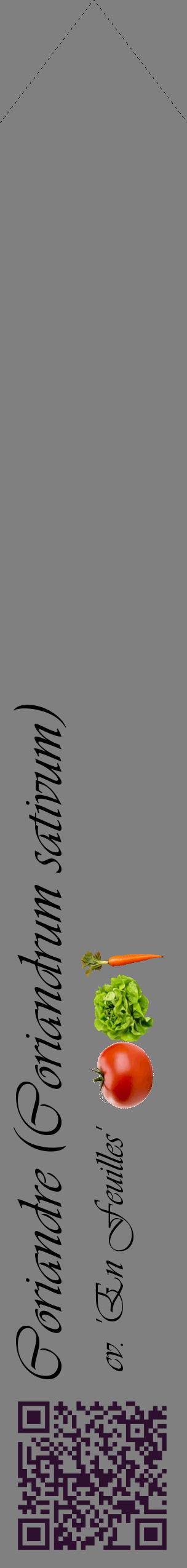 Étiquette de : Coriandrum sativum cv. 'En Feuilles' - format c - style noire57_simpleviv avec qrcode et comestibilité simplifiée