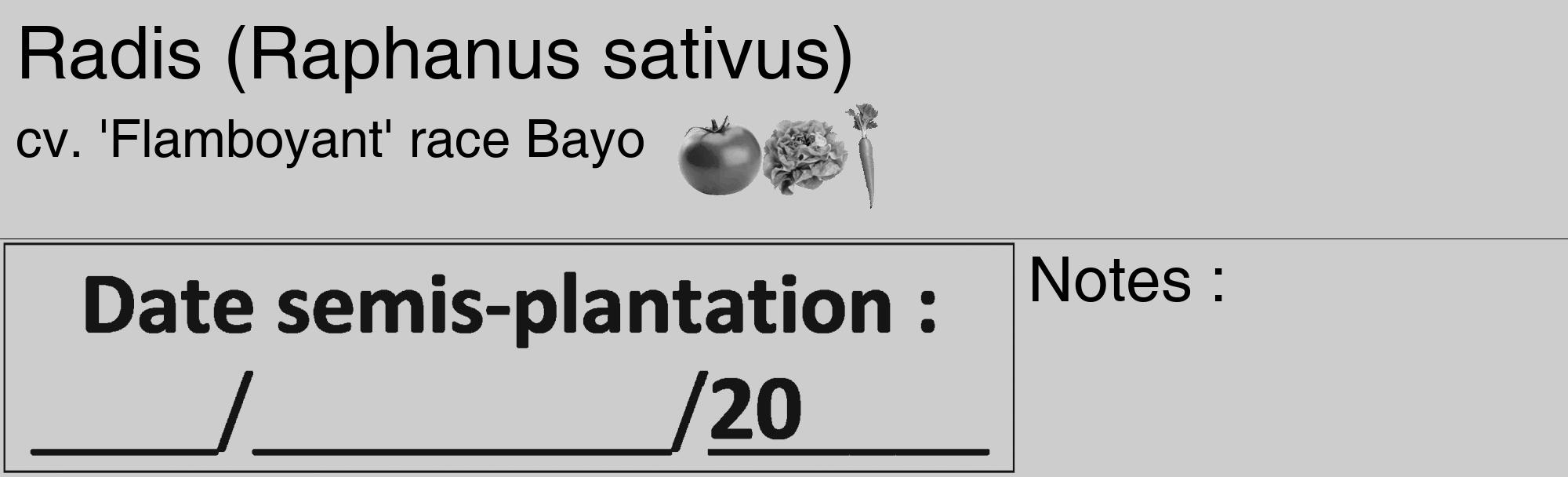 Étiquette de : Raphanus sativus cv. 'Flamboyant' race Bayo - format c - style noire41basique_basique_basiquehel avec comestibilité simplifiée