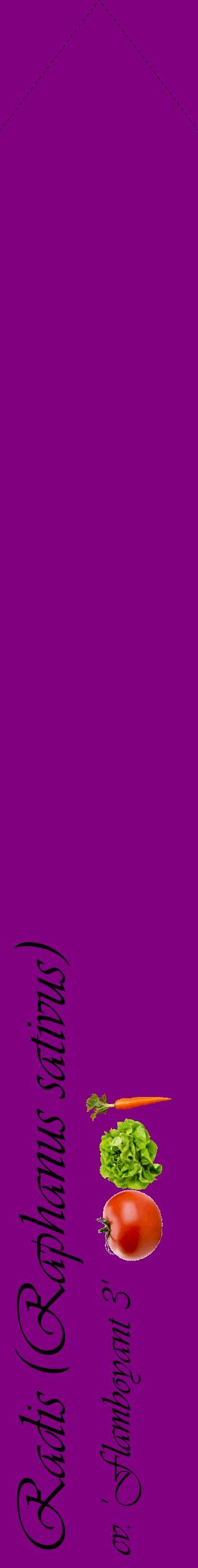 Étiquette de : Raphanus sativus cv. 'Flamboyant 3' - format c - style noire46_simpleviv avec comestibilité simplifiée